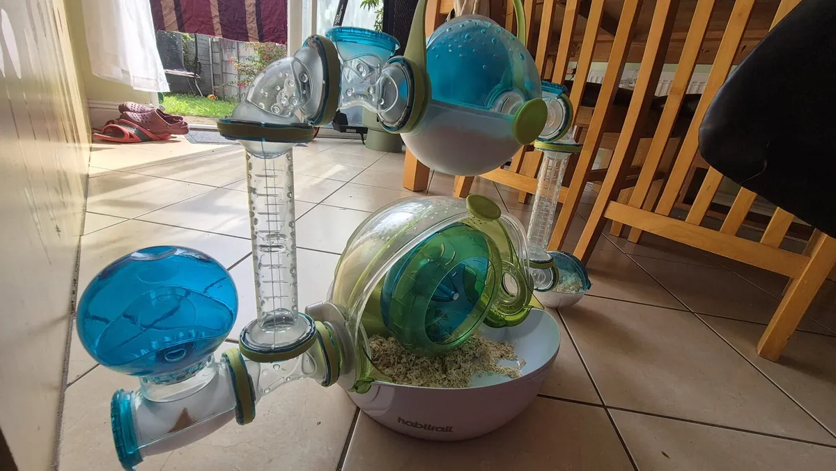 Hamster's house - Image 4