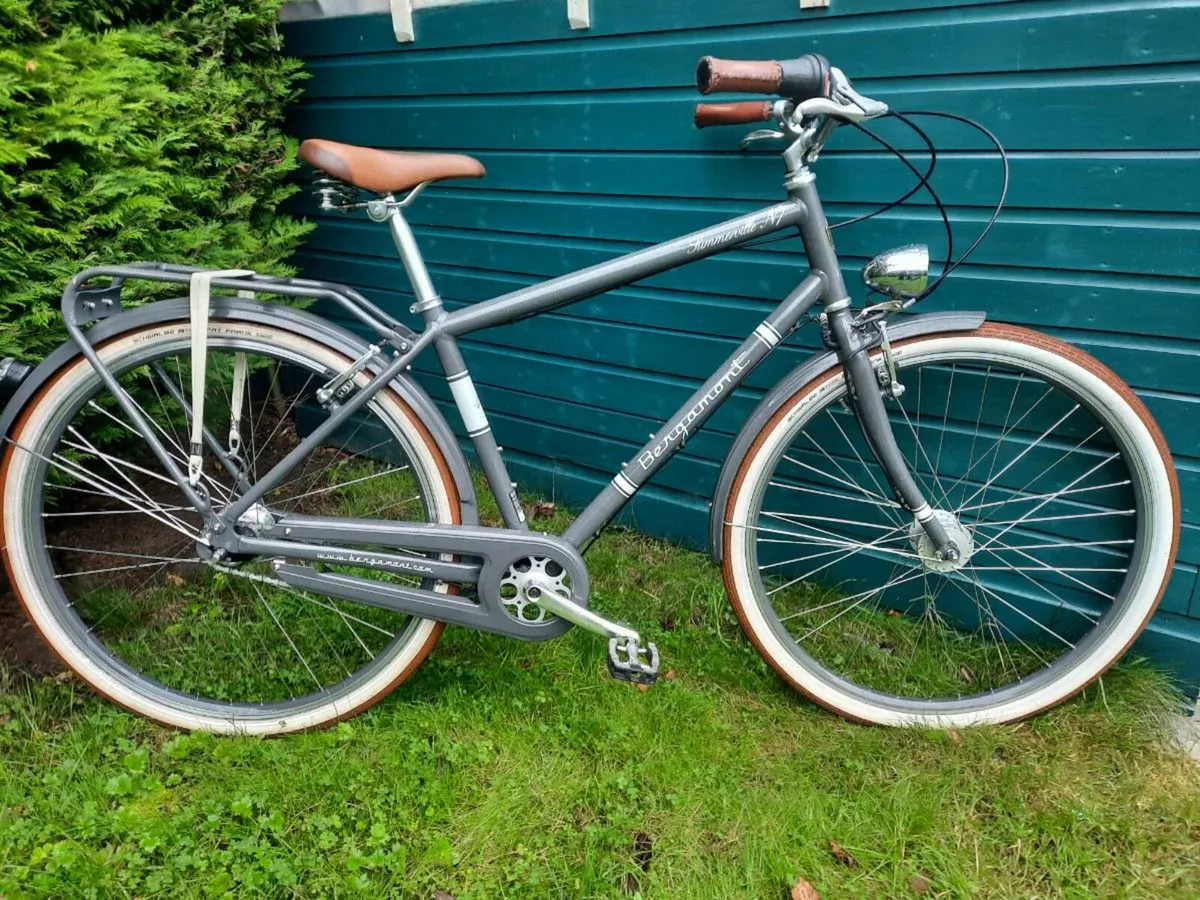 Adult Bicycle - Image 2