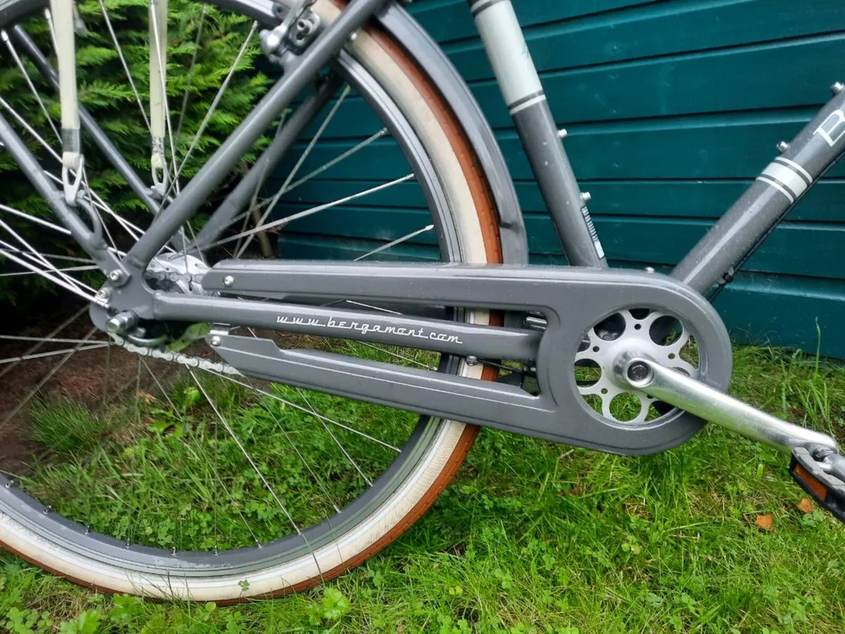 Adult Bicycle - Image 3