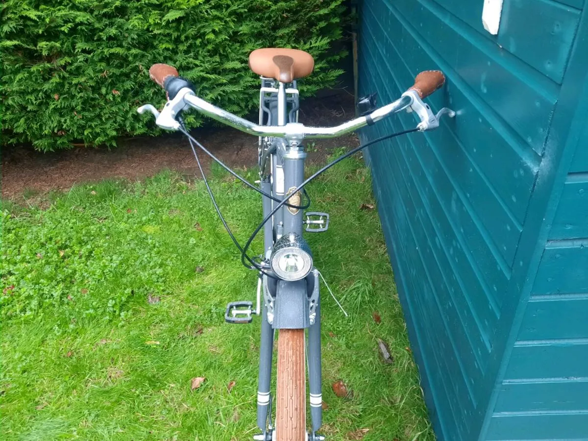 Adult Bicycle - Image 4