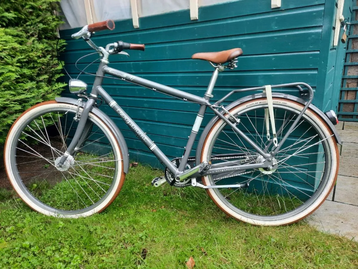 Adult Bicycle - Image 1