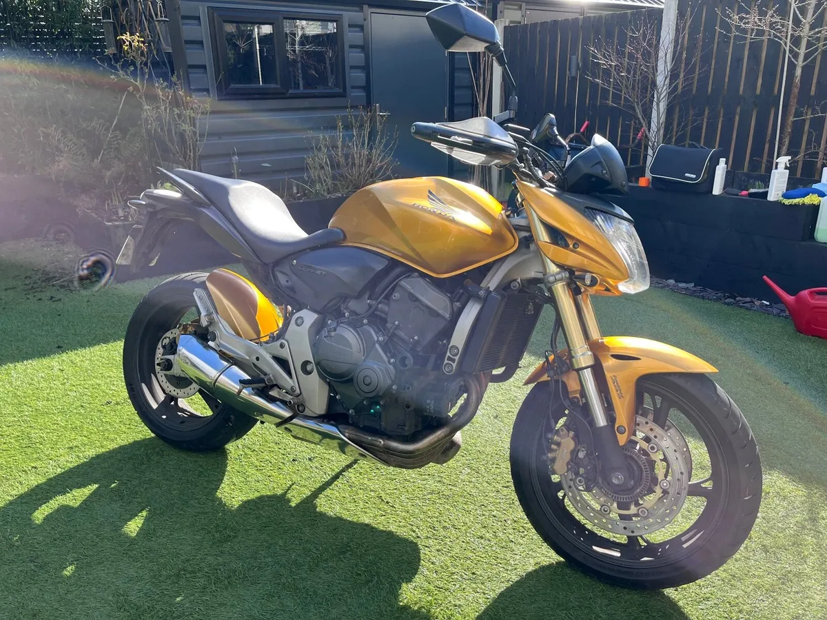 Honda Hornet 2008 - Image 2