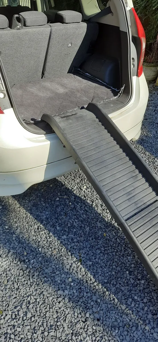 FOLDING DOG CAR RAMP - Image 1