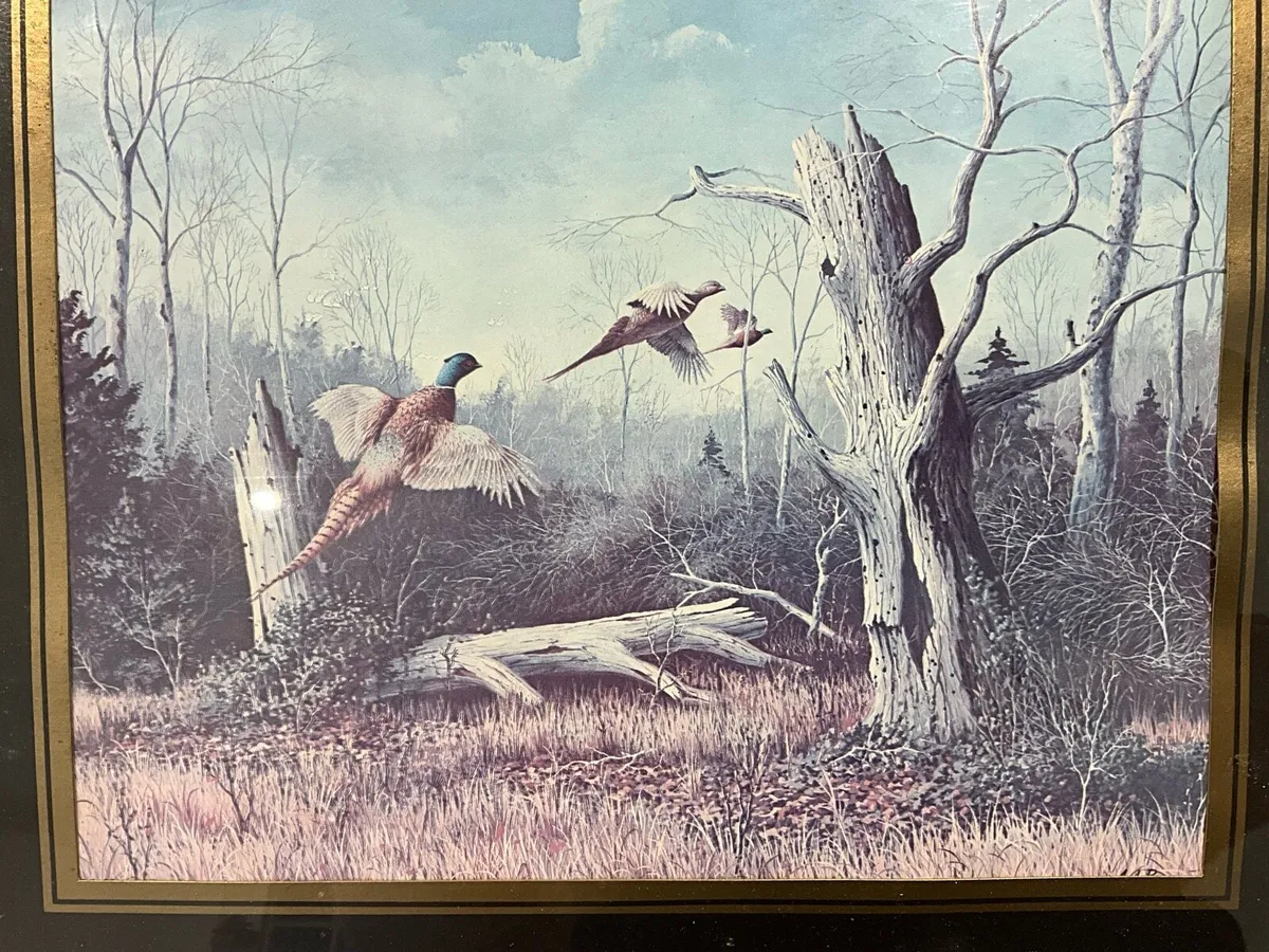 Vintage Framed Print- Pheasants by A.J.Rudisill - Image 2