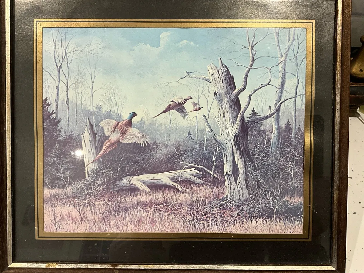 Vintage Framed Print- Pheasants by A.J.Rudisill - Image 3
