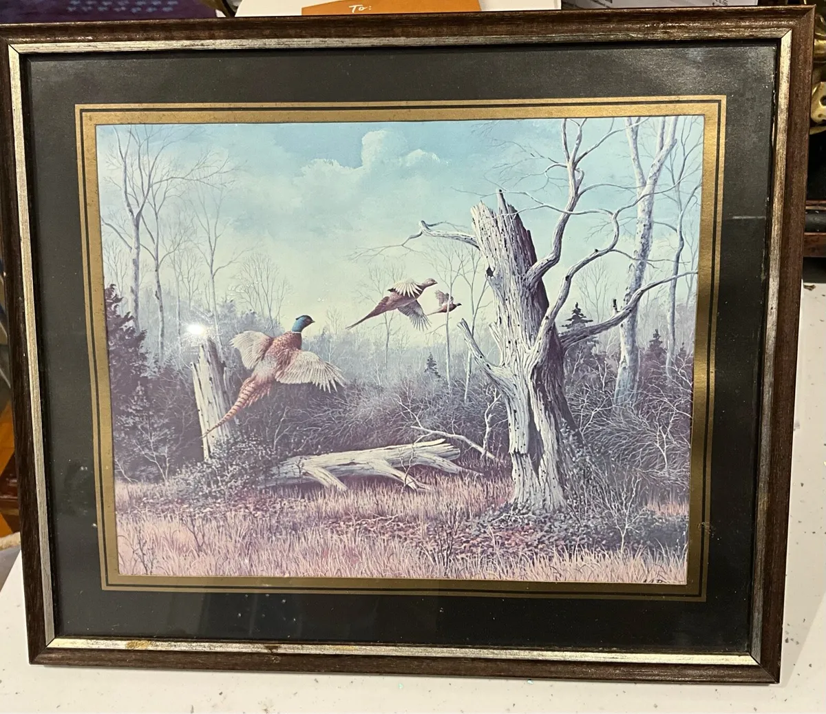 Vintage Framed Print- Pheasants by A.J.Rudisill - Image 1