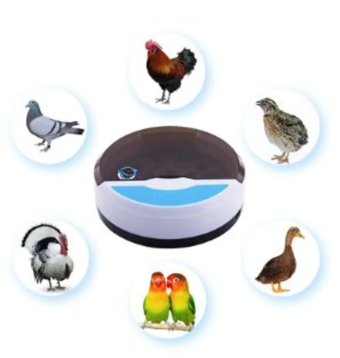 9 eggs + 4 Bird  Egg Incubator  Automatic - Image 1