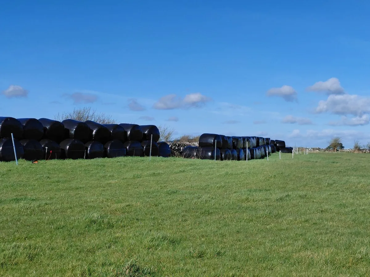 First Crop Quality Silage Bales - Image 3
