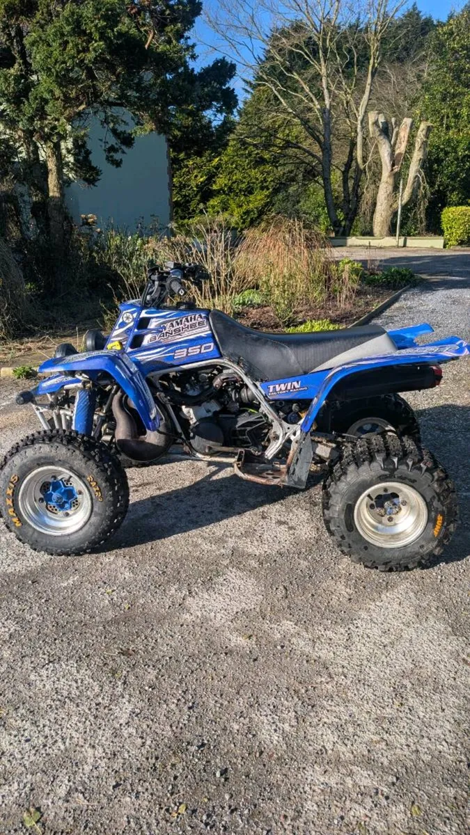 Big Bore Banshee - Image 4