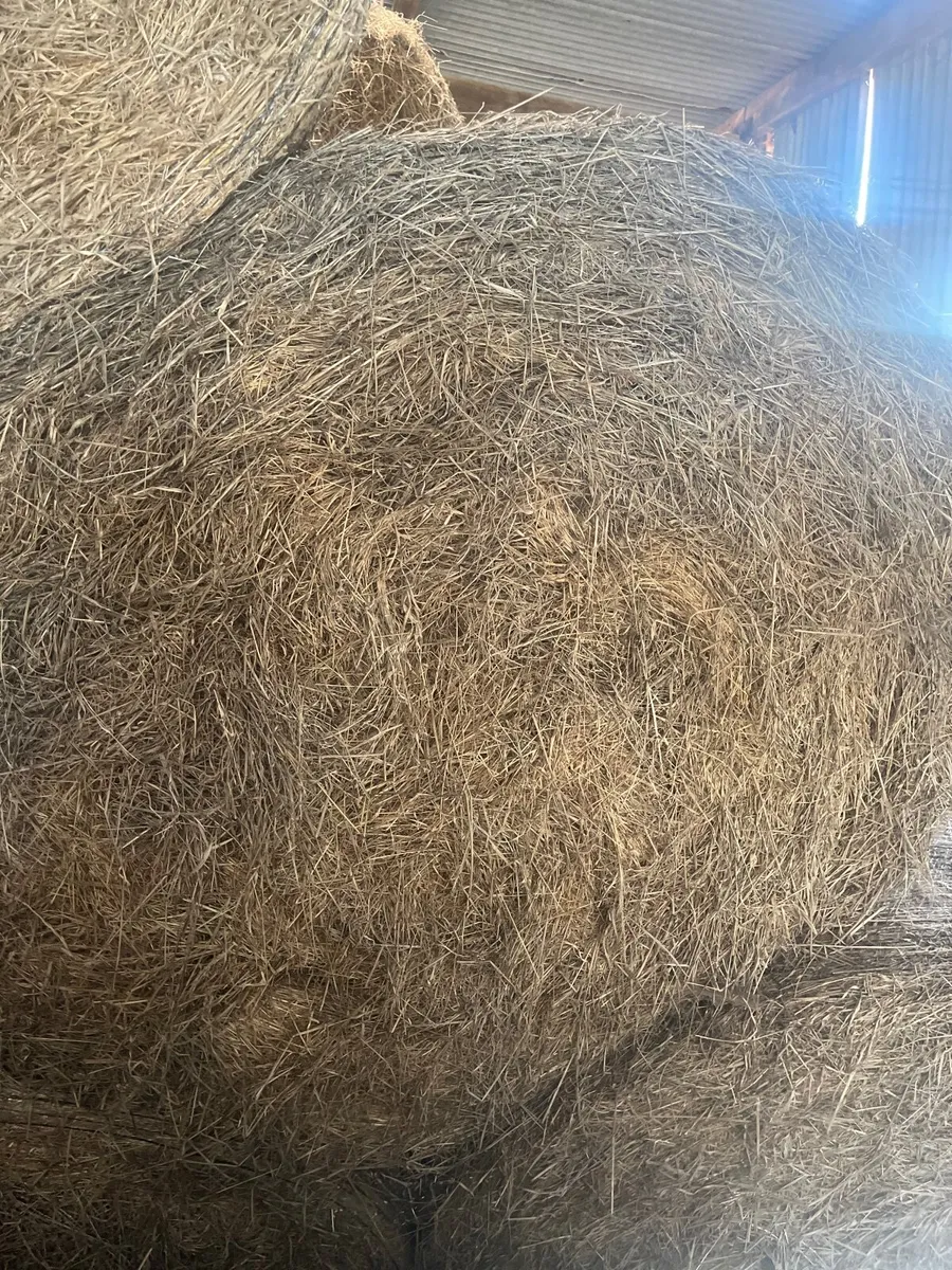 Hay bales - Image 2