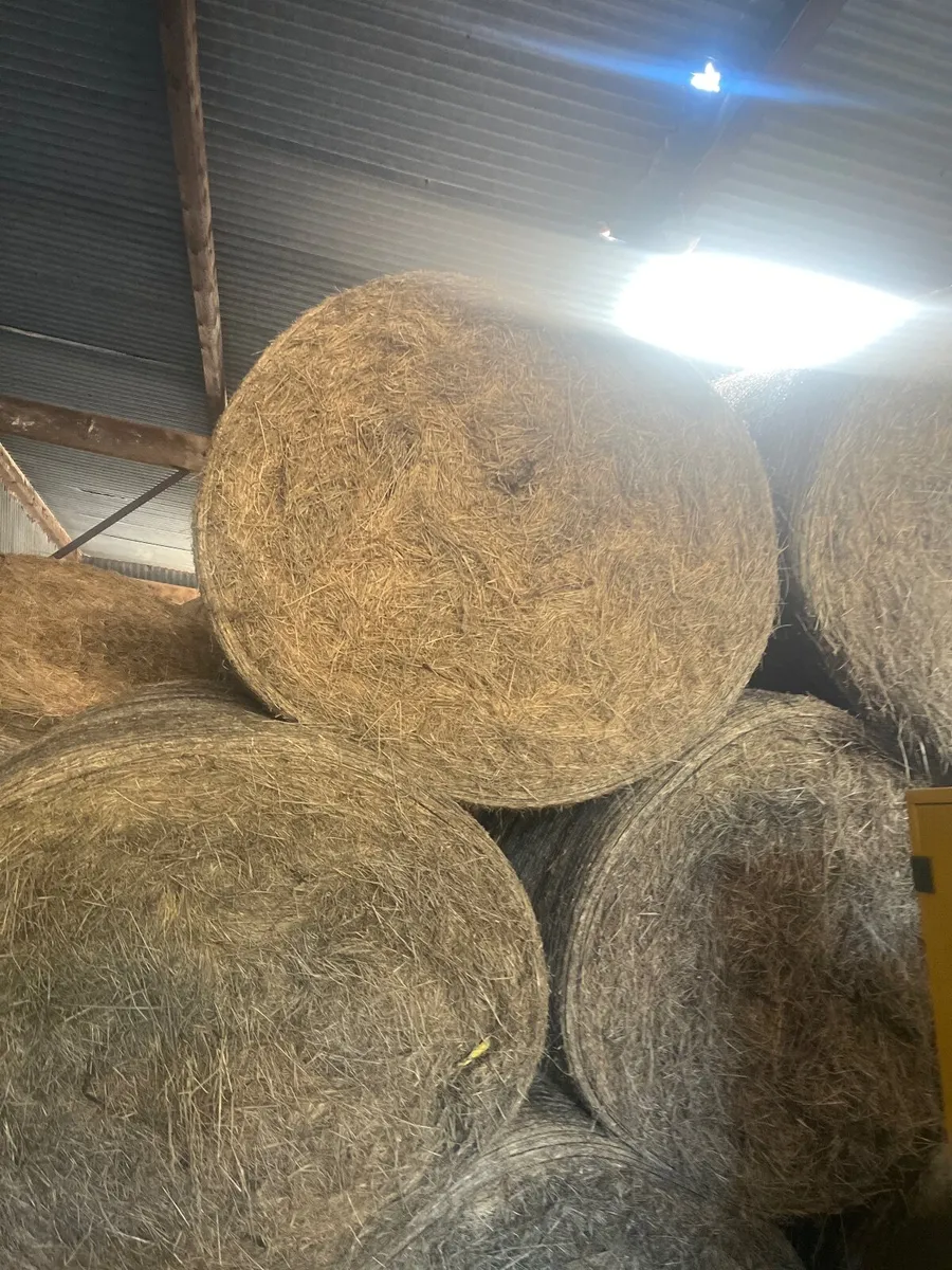 Hay bales - Image 3