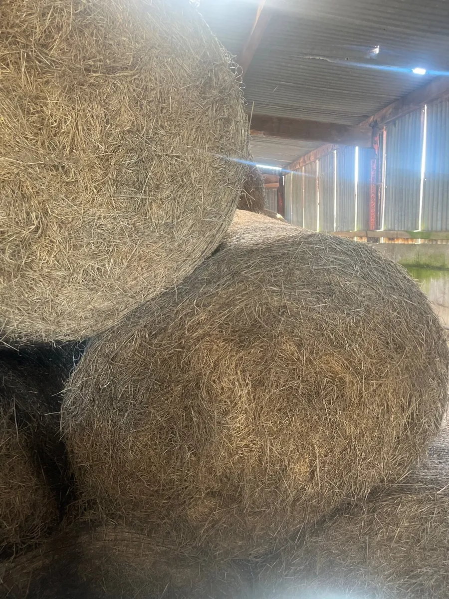 Hay bales - Image 4