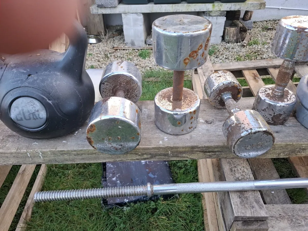 Weights & Dumbells - Image 2