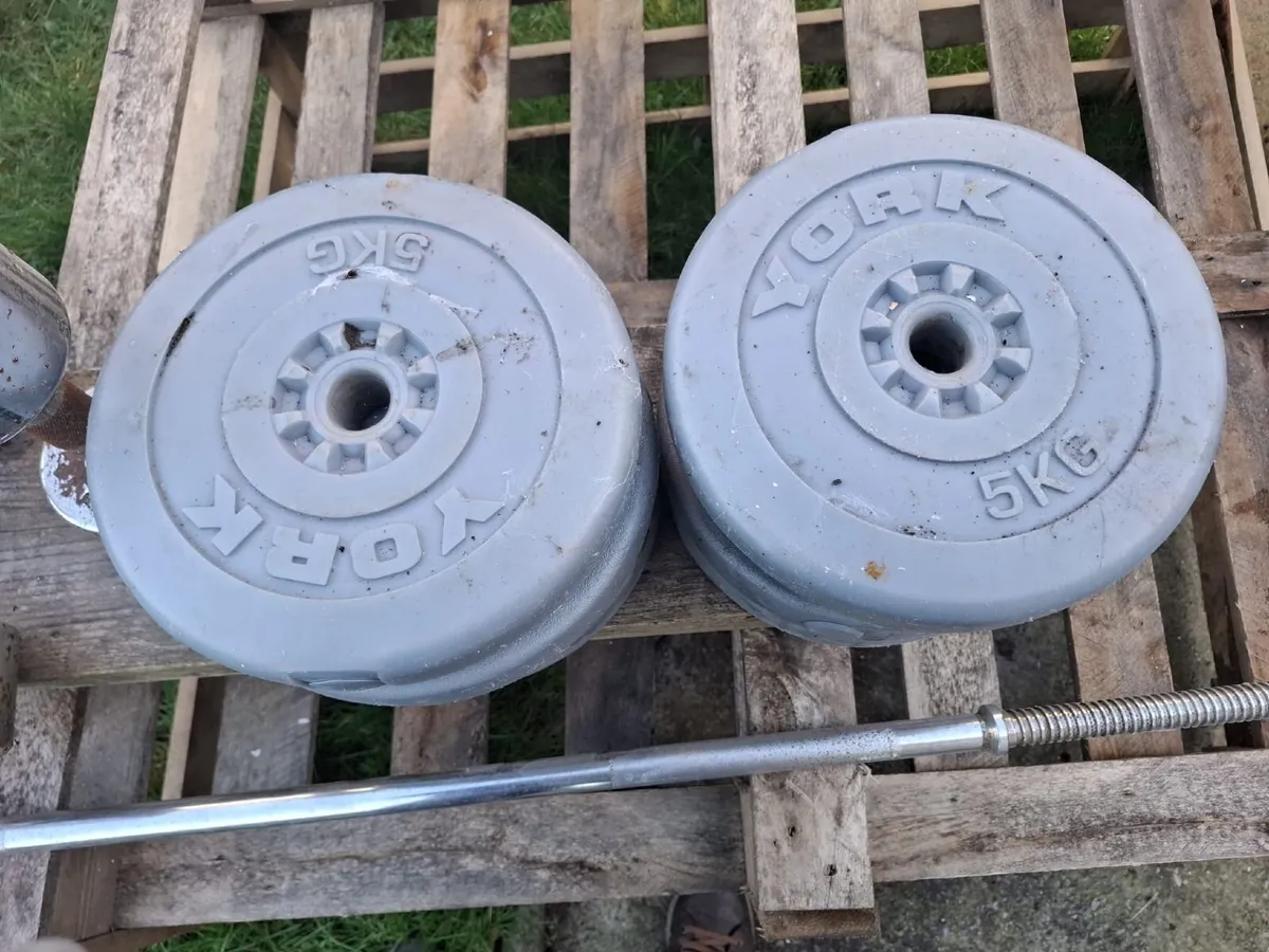 Weights & Dumbells - Image 4