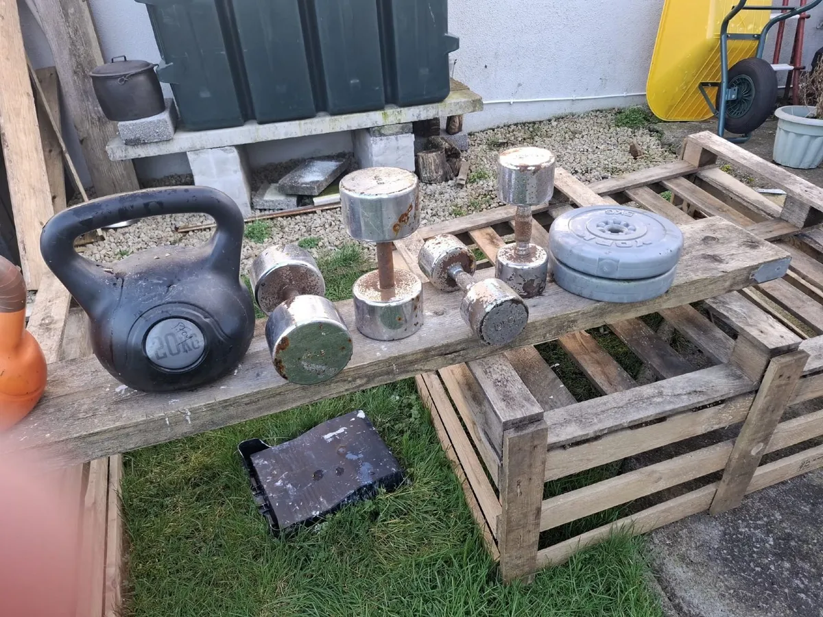 Weights & Dumbells - Image 3