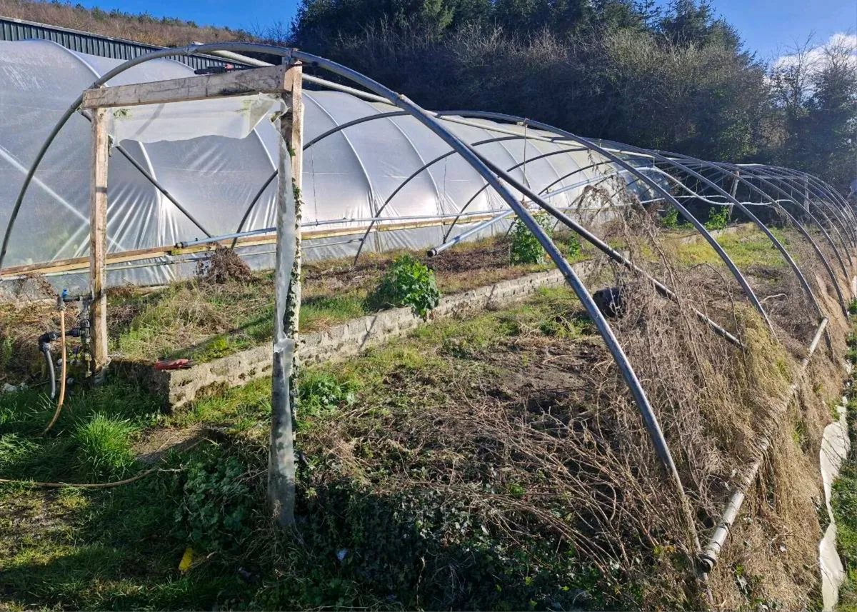 Polytunnel frame for sale