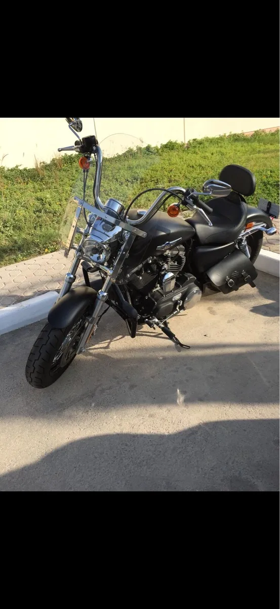 2014 Harley Davidson Sportster 1200 - Image 4