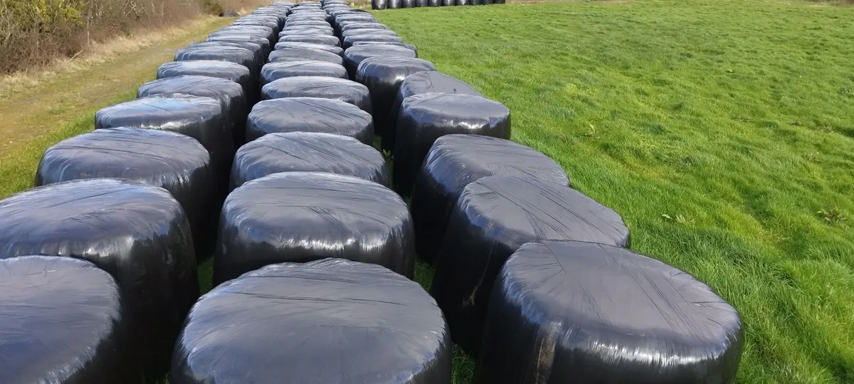 Silage Bales €30 Westport