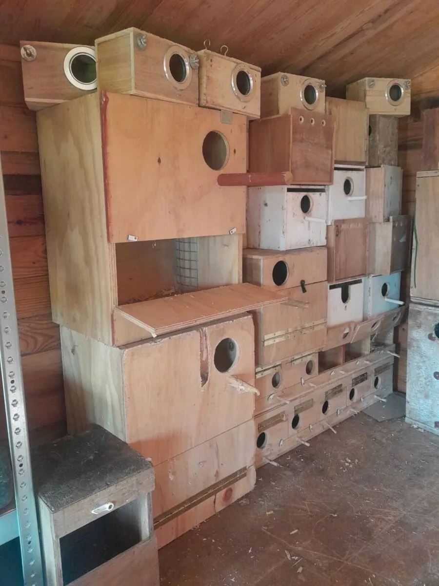 Parakeet Nestboxes - Image 3