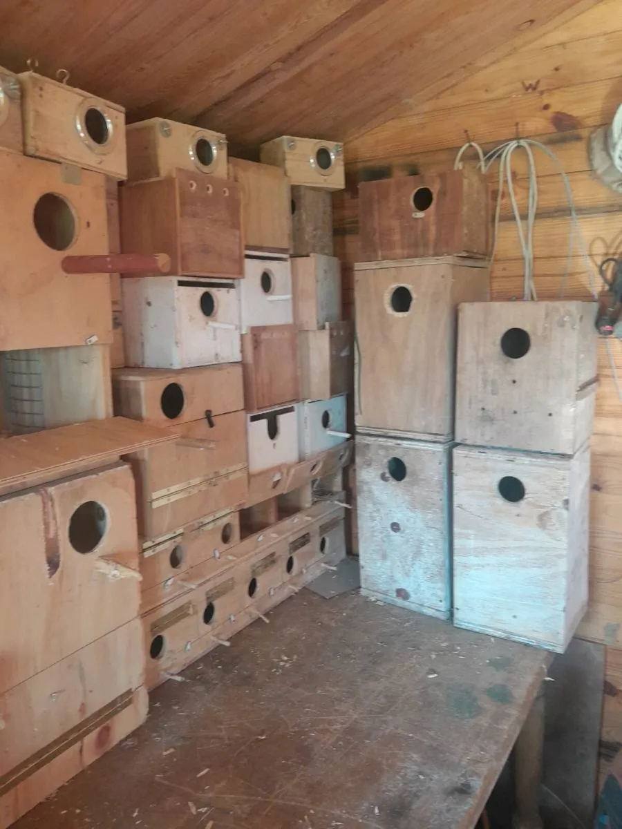 Parakeet Nestboxes - Image 4