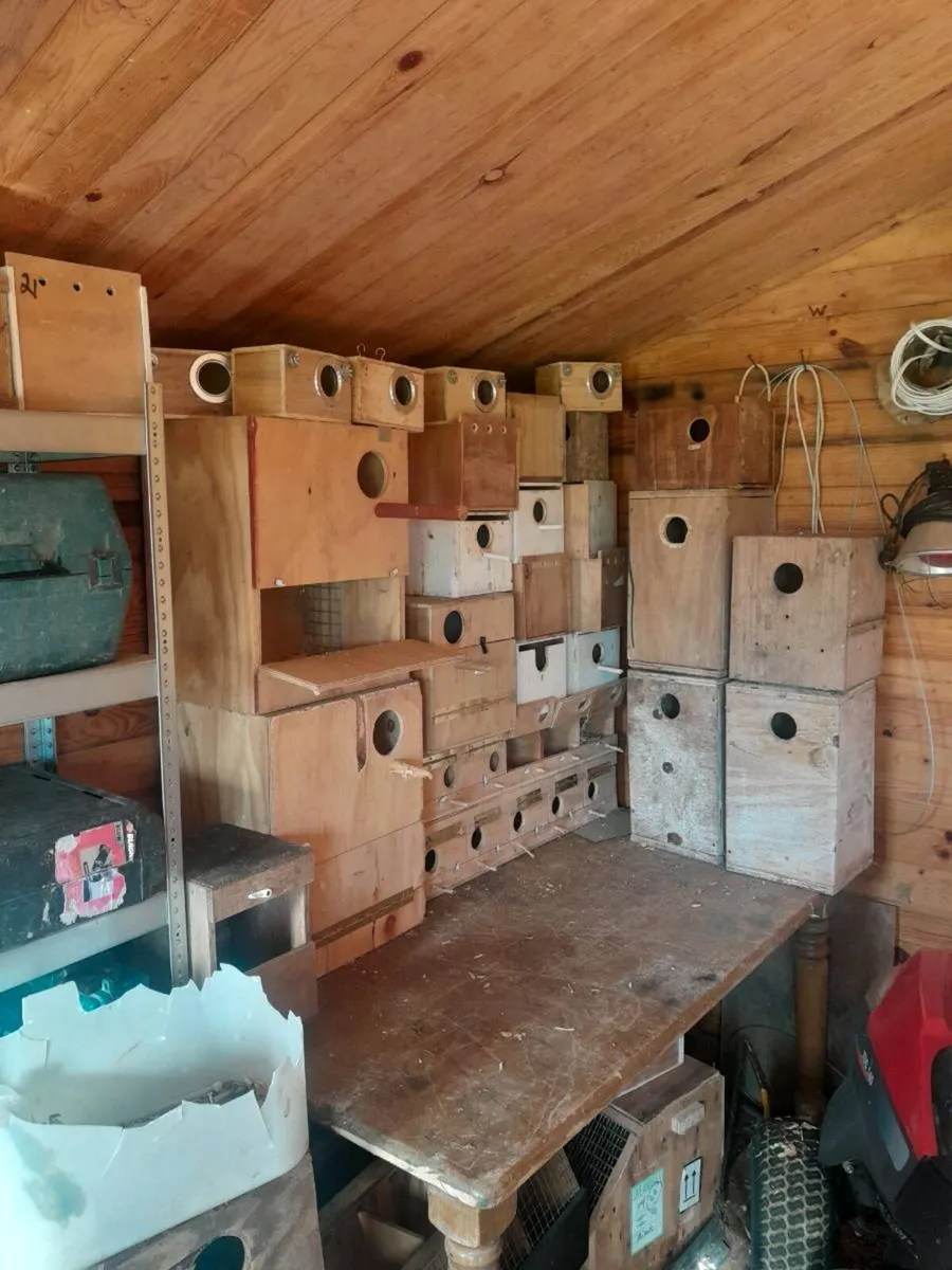 Parakeet Nestboxes - Image 1