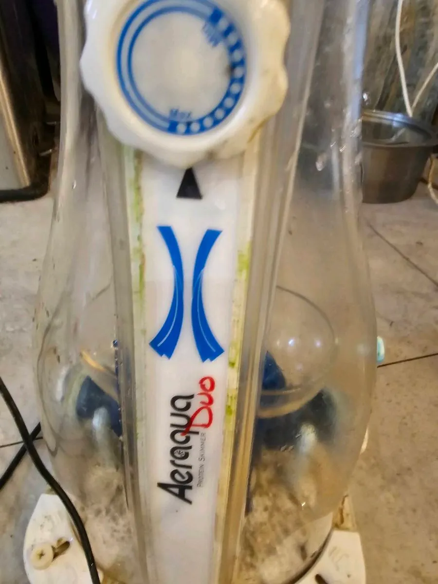 🌊 Live Rock for Sale – Marine Aquarium, skimmer - Image 1