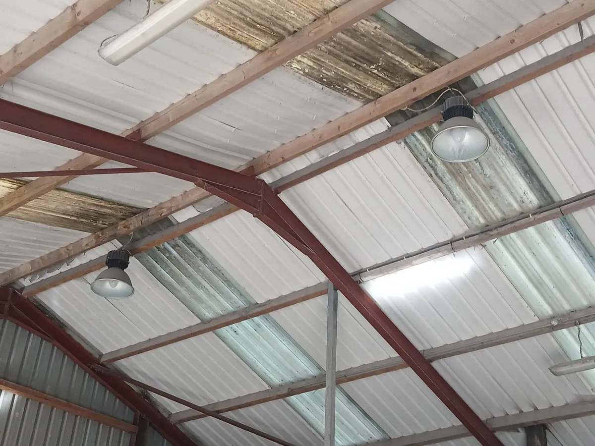 Garage Lights - Image 2