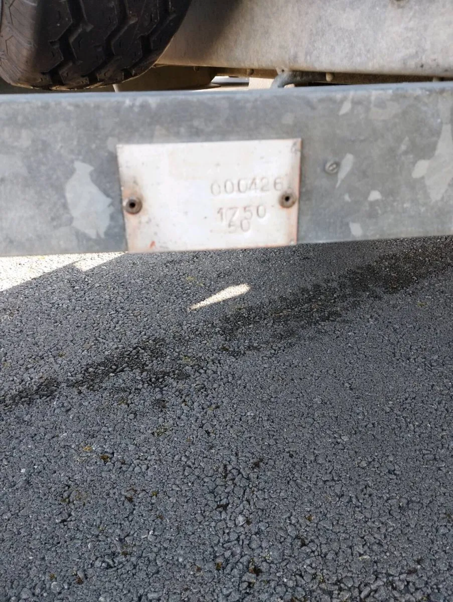 Galvanised Livestock Trailer - Image 2