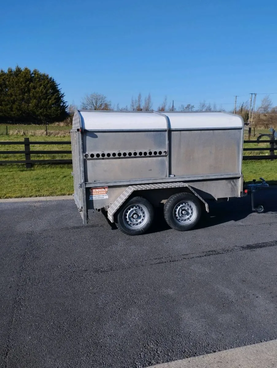 Galvanised Livestock Trailer - Image 4