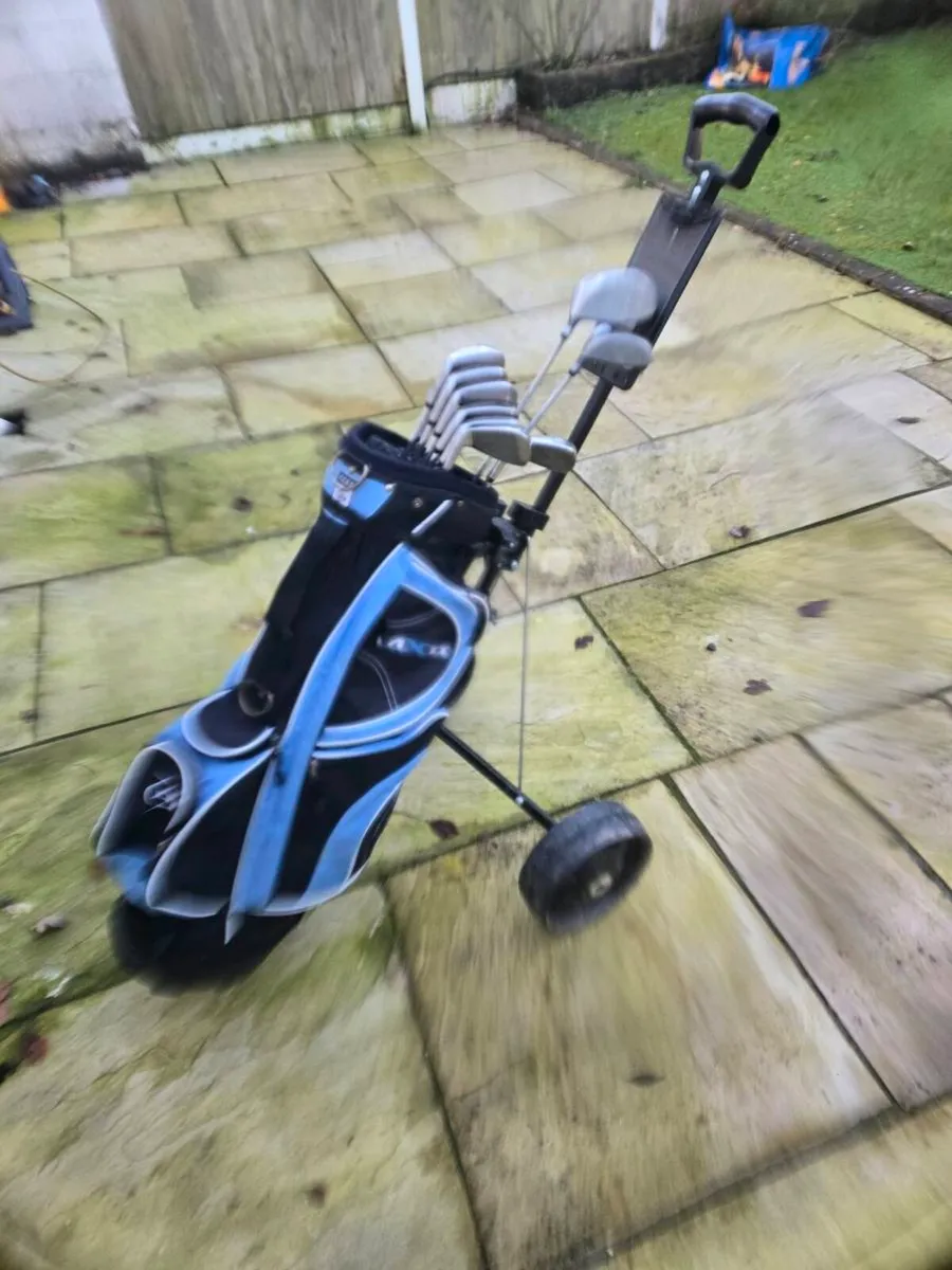 Golf clubs - Image 1