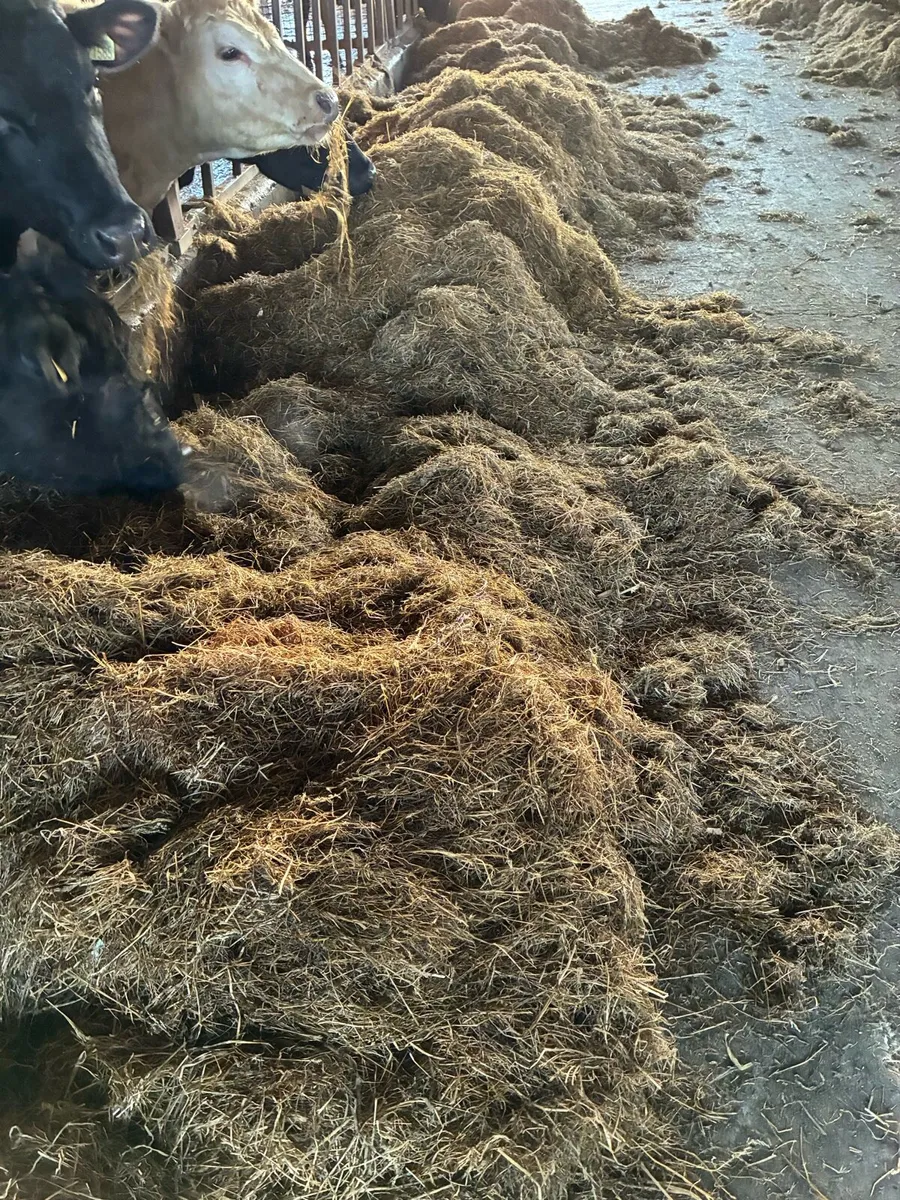 Silage