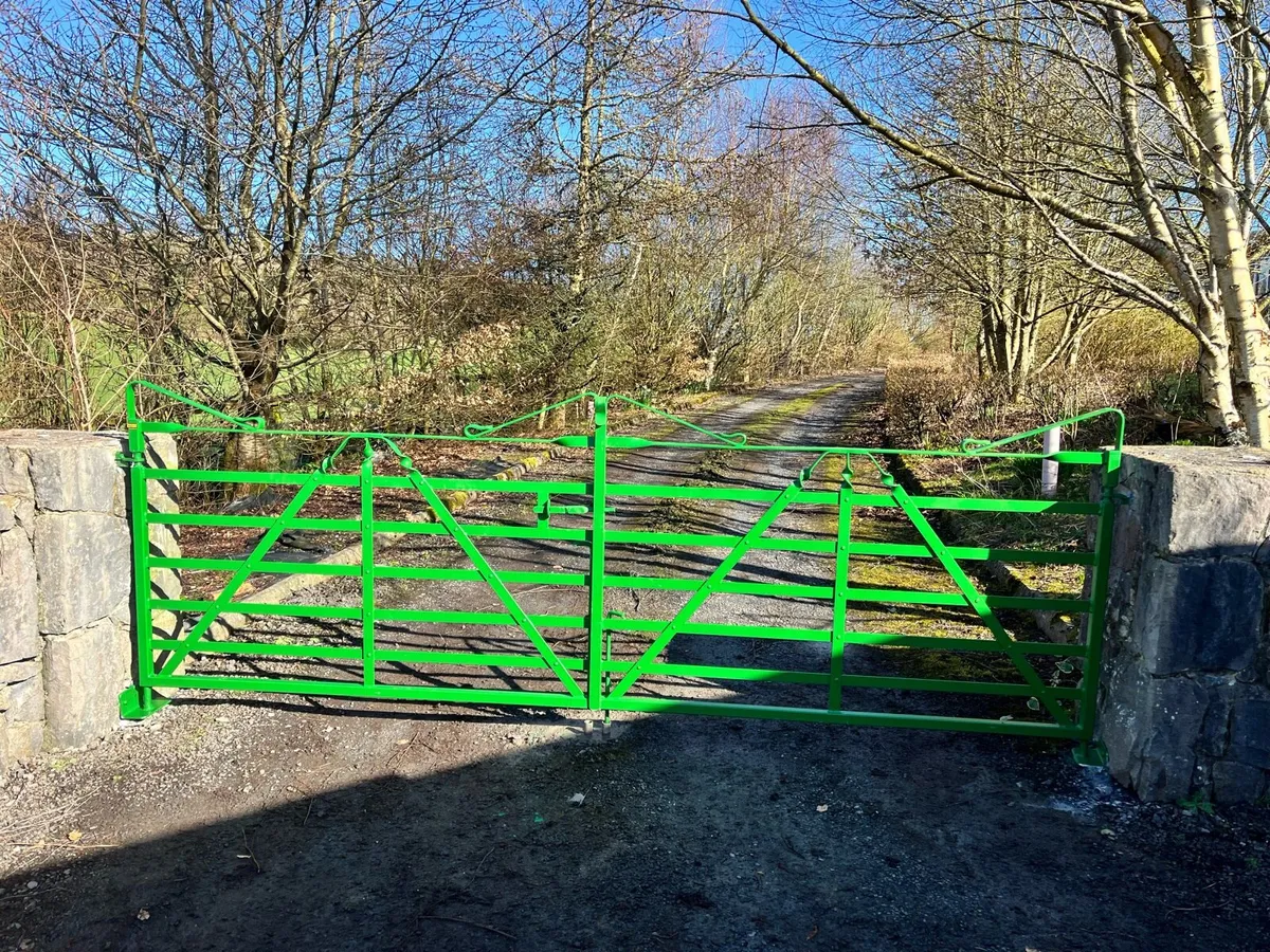 Traditional gates/cottage gates - Image 1