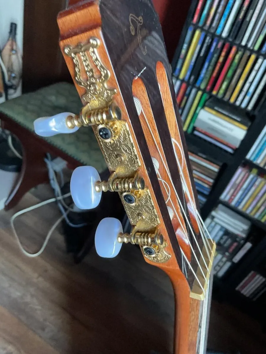 Takamine G Series GC5CEC Classical-Electro Guitar - Image 3