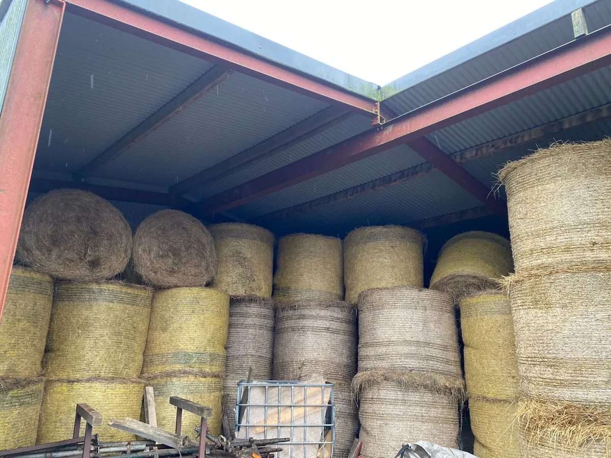 Hay - Image 2