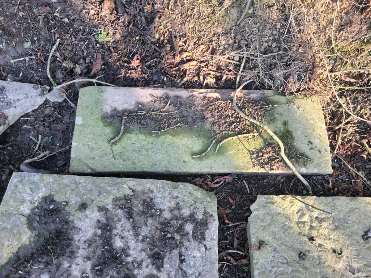 Flag stones - Image 3