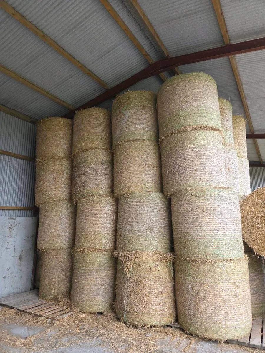 Wheaten and Oaten straw - Image 3