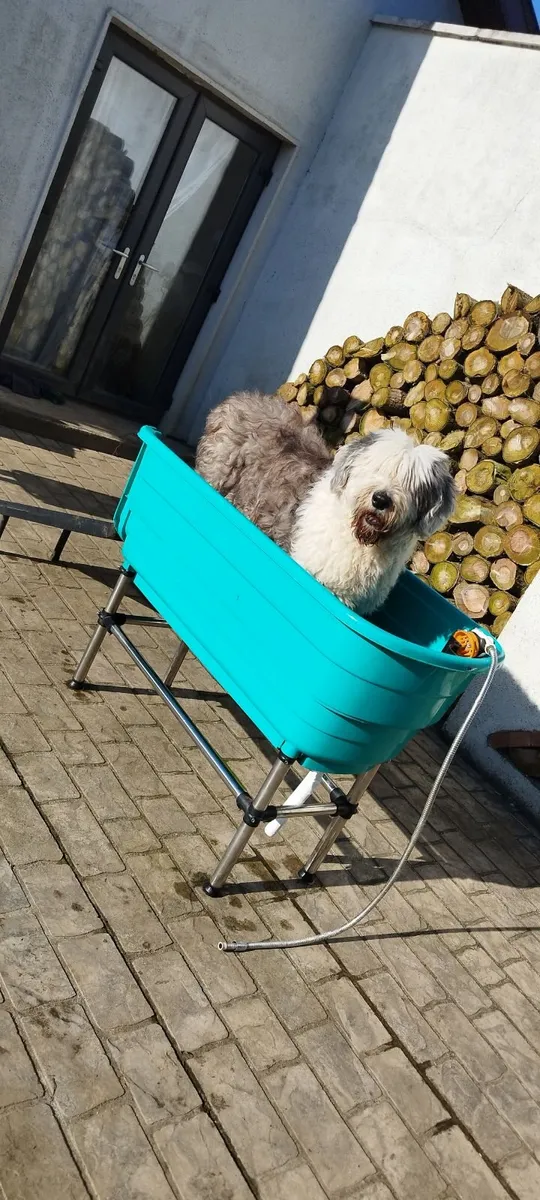 Dog grooming bath - Image 1