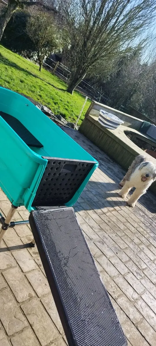 Dog grooming bath - Image 4