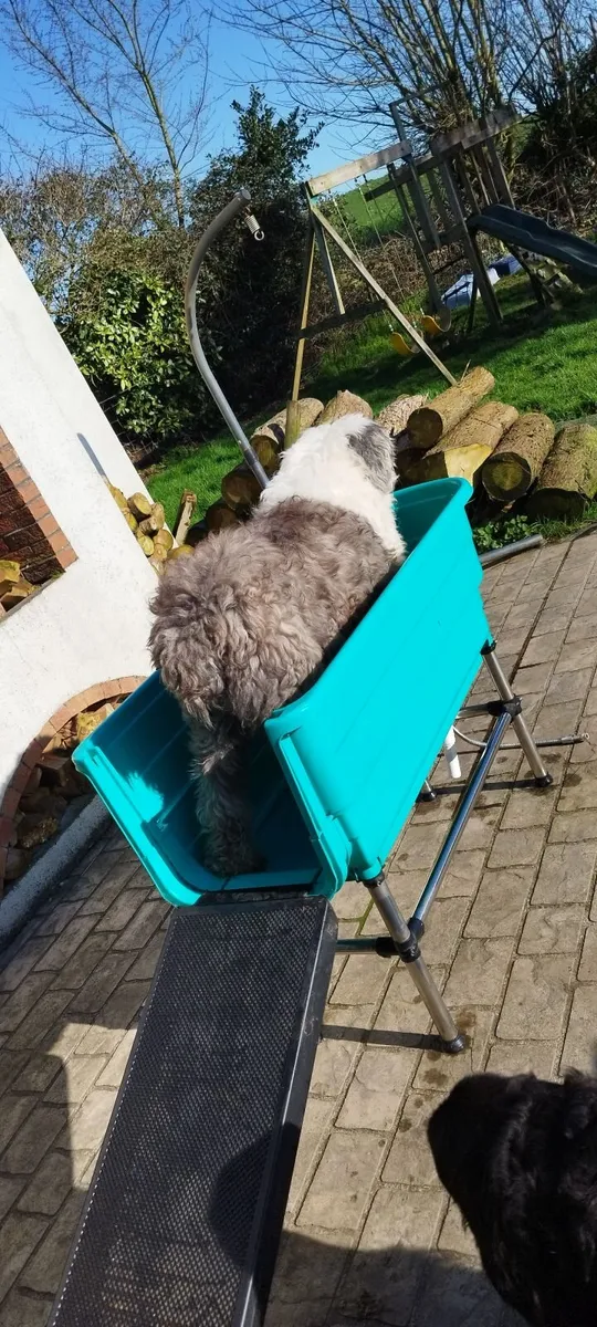 Dog grooming bath - Image 3