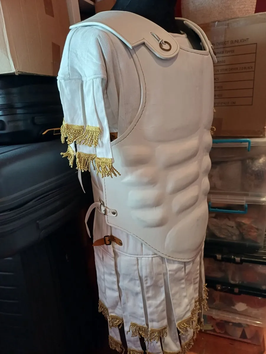 Roman Curiass and Subermails - Image 3