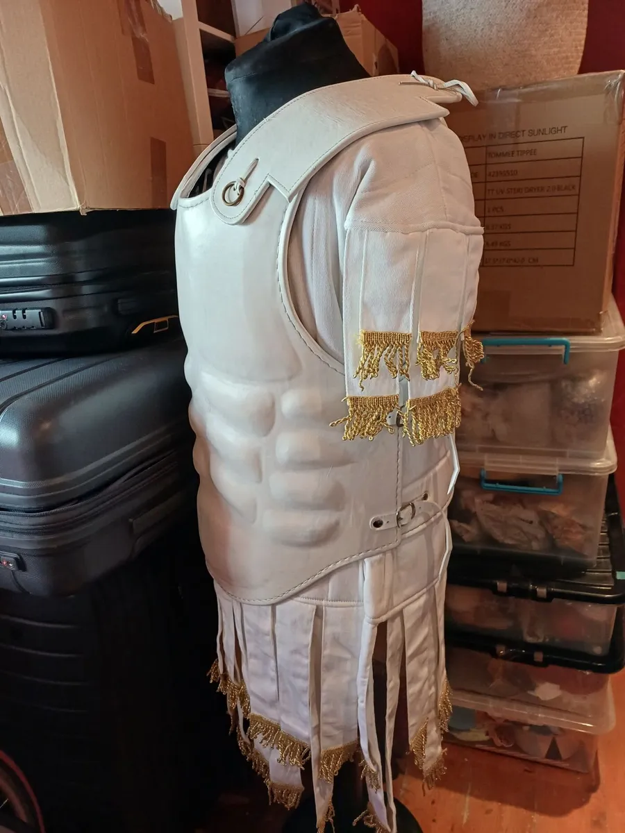 Roman Curiass and Subermails - Image 2