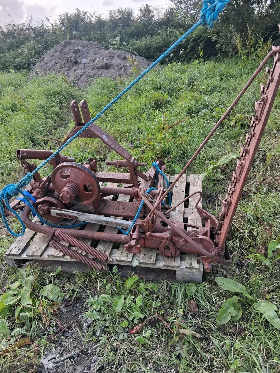 Tipping Trailer - Image 4