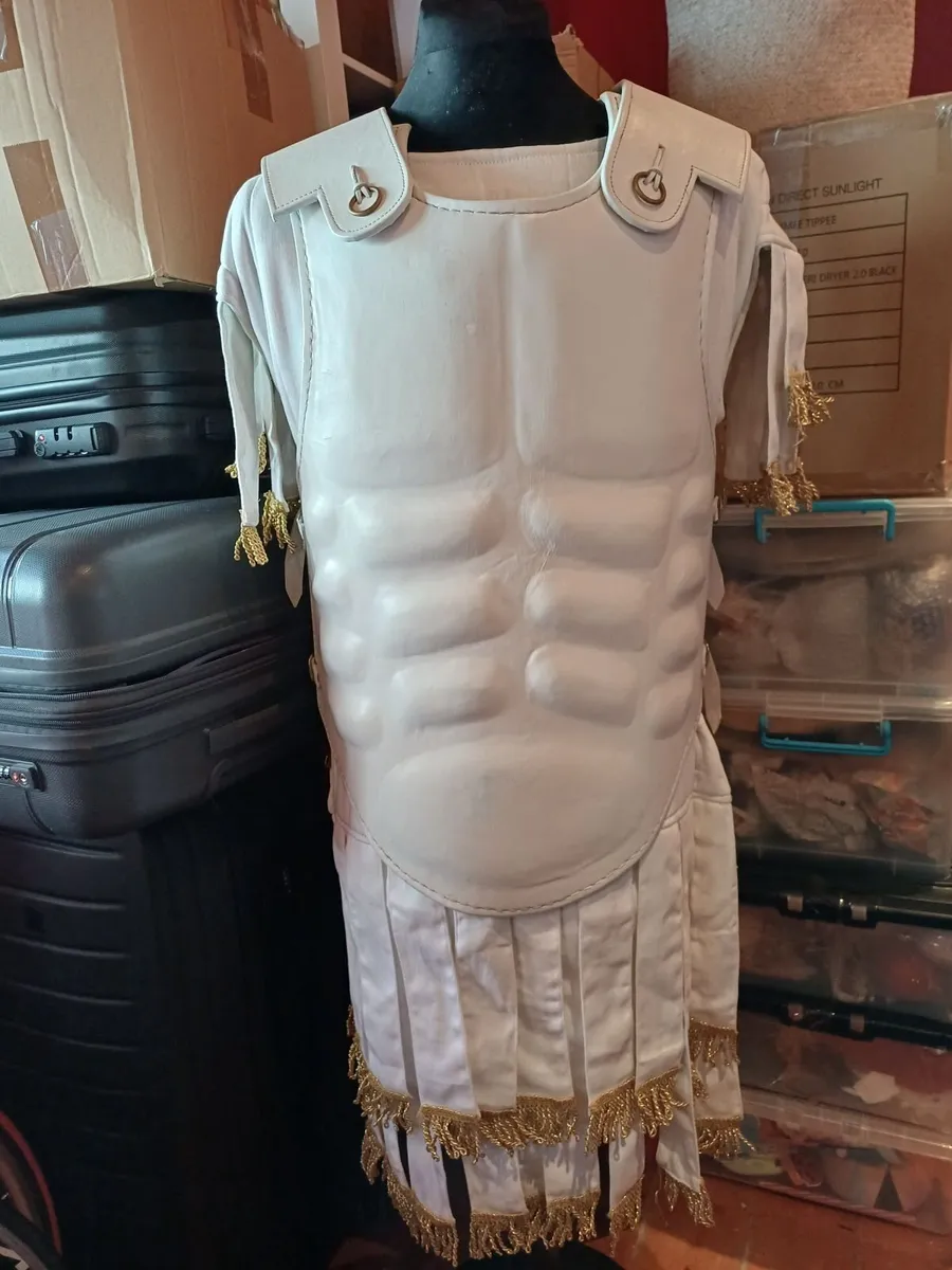 Roman Curiass and Subermails - Image 4