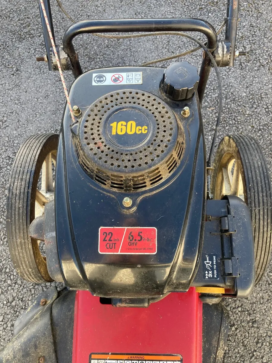 Wheeled Strimmer - Image 2