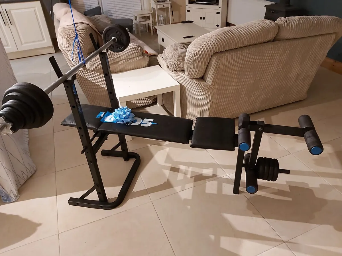 Bench Press with Weights - Image 1