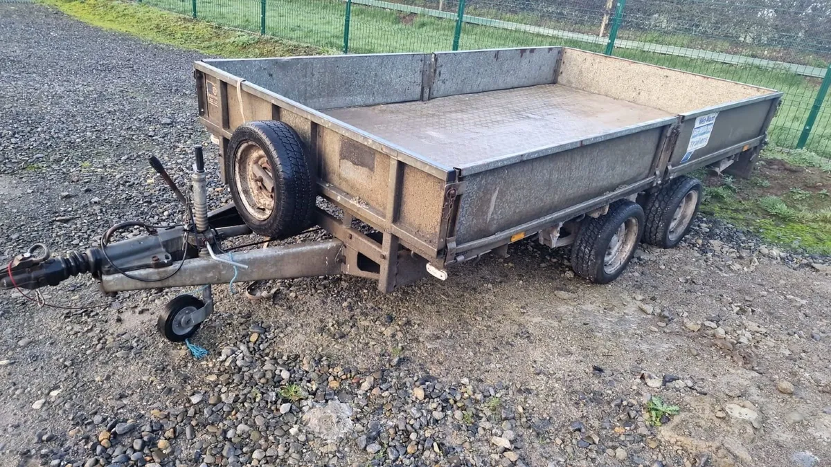 Iver Williams  12ft x 6ft - Image 1