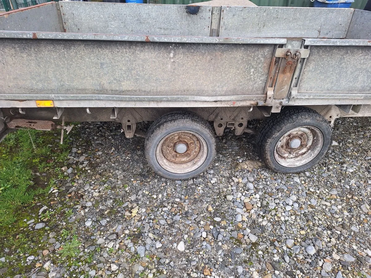 Iver Williams  12ft x 6ft - Image 3