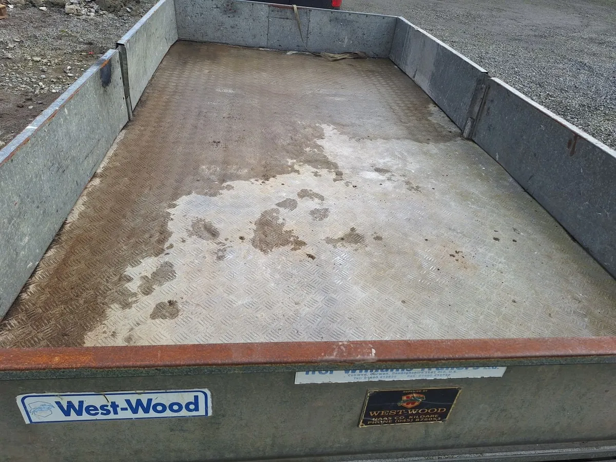 Iver Williams  12ft x 6ft - Image 4