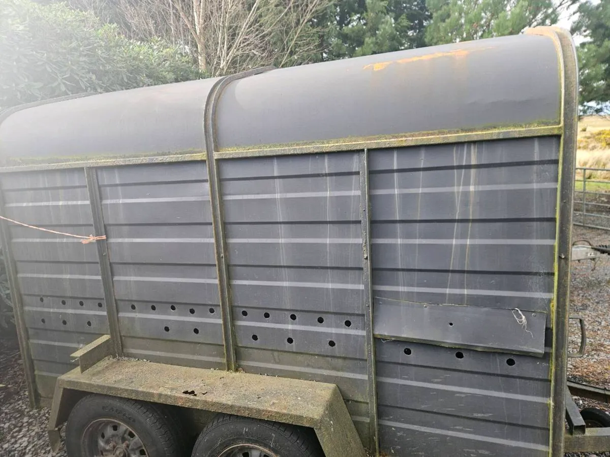 10x5 Williams trailer - Image 1