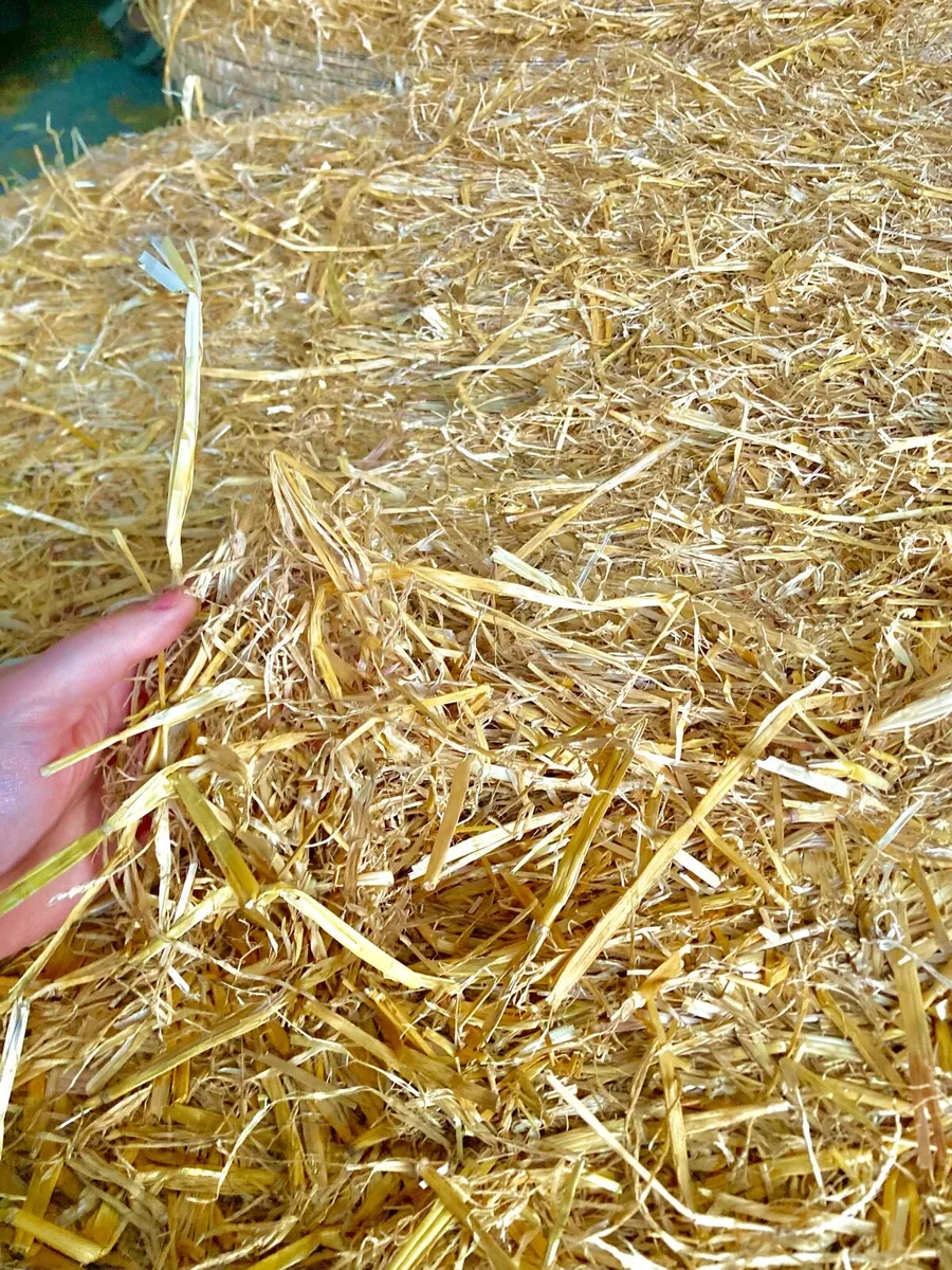 Straw - Image 1